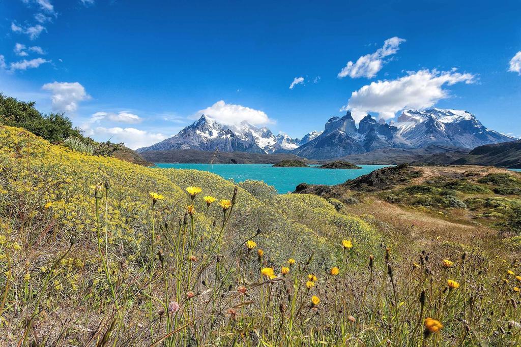 Hotel Las Torres Patagonia Torres del Paine Nemzeti Park Kültér fotó